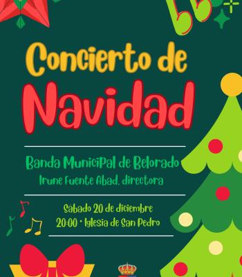 concierto_20dec.jpg