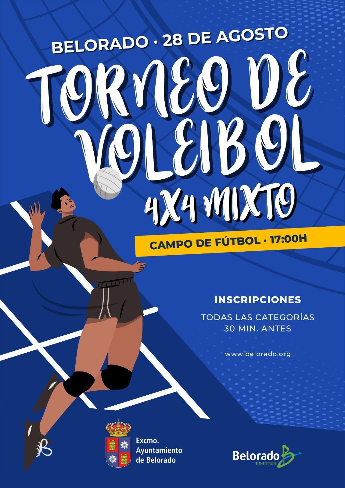 Torneo de Voleibol